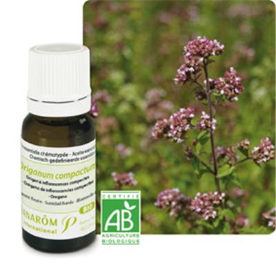 Huile essentielle Origan compact BIO 