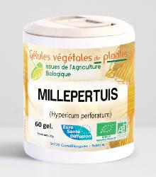 Millepertuis BIO