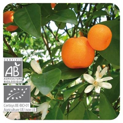 Huile essentielle Mandarine BIO-Citrus reticulata BIO