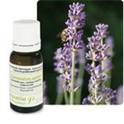 Huile essentielle Lavande aspic BIO-Lavandula spica BIO