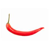 Teinture mère ou extrait de plantes Capsicum Frutescens-Piment de Cayenne