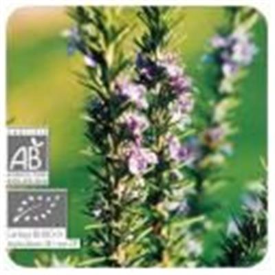 Huile essentielle Romarin à verbénone BIO-Rosmarinus officinalis ct verbenone BIO