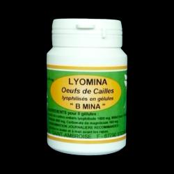 Lyomina