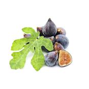 Macrat glycrin de bourgeons Ficus Carica-Figuier BIO