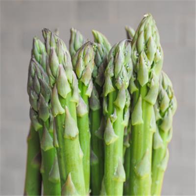Teinture mère ou extrait de plantes Asparagus Officinalis-Asperge officinale BIO