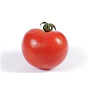 Teinture mère ou extrait de plantes Solanum Lycopersicum-Tomate BIO