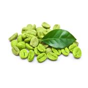 Teinture mère ou extrait de plantes Coffea Cruda-Café vert variété arabica