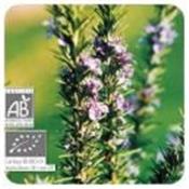 Huile essentielle Romarin à verbénone BIO-Rosmarinus officinalis ct verbenone BIO