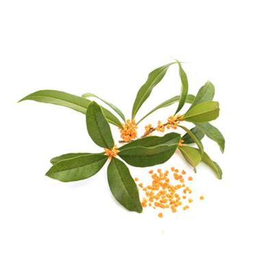 Huile essentielle Oranger petit grain (feuilles) Bio 