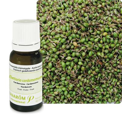 Huile essentielle Cardamone-Elettaria cardamomum